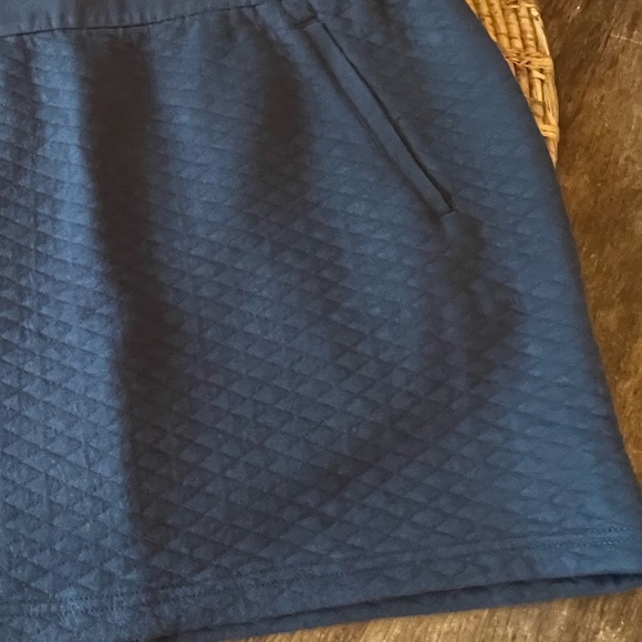 Columbia Gray Quilted Mini Skirt - Picture 10 of 11